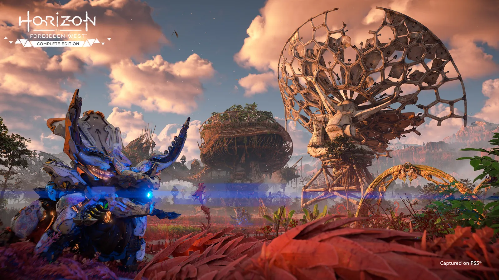Screenshot 4 of Horizon Forbidden West