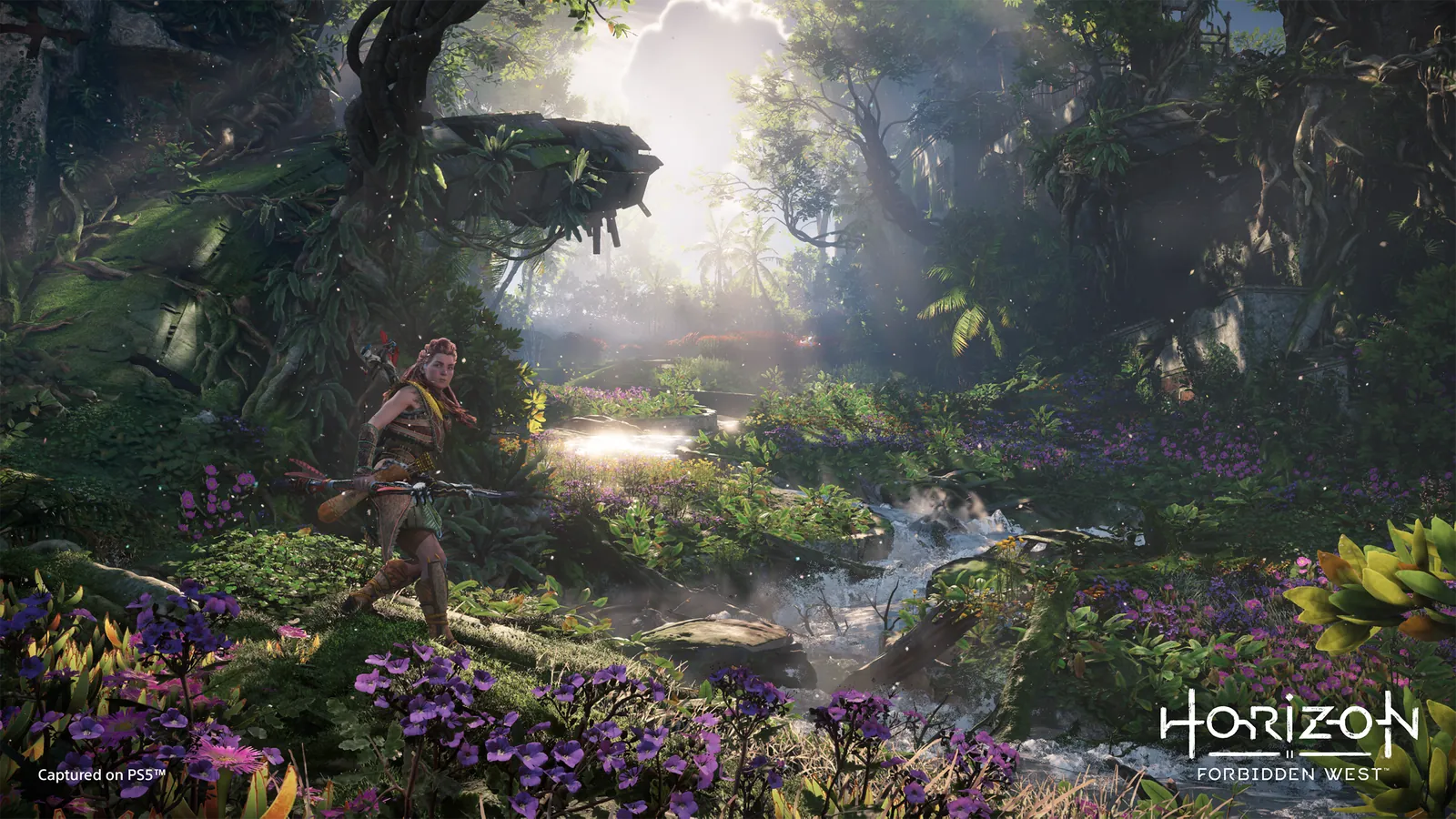 Screenshot 10 of Horizon Forbidden West