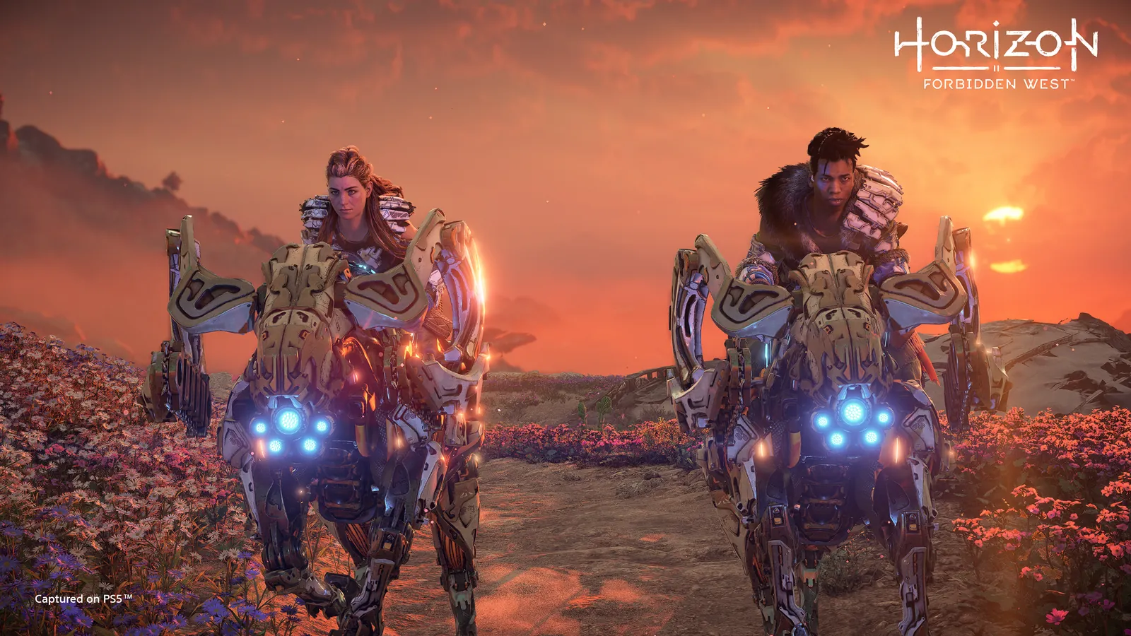 Screenshot 14 of Horizon Forbidden West